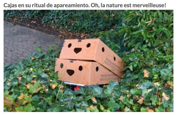 Meme_otros - La naturaleza abriéndose camino