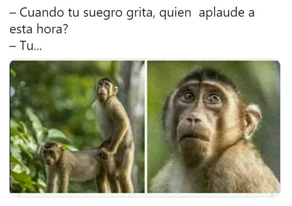 Otros - No lo intentes con tus suegros bajo el mismo techo