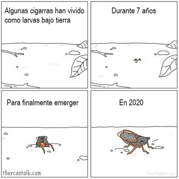 Meme_otros - Ya hay que tener mala suerte