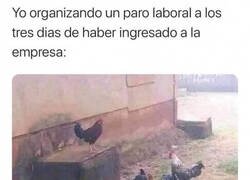 Enlace a Formando un sindicato