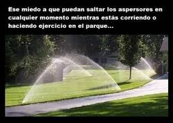 Enlace a Eso sólo lo saben los que hacen deporte al aire libre en parques o lugares similares...