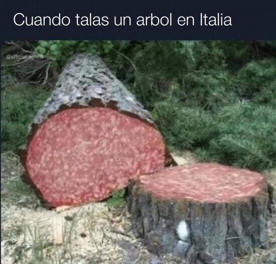 árbol,Italia,pepperoni,talar