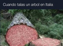Enlace a 100% real, no fake