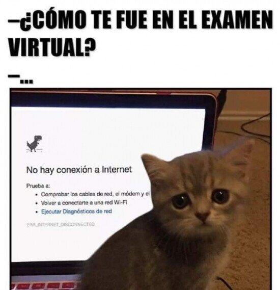 Otros - Fue tan bien como mi conexión