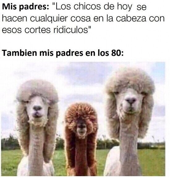 Meme_otros - Habría que verles en su época