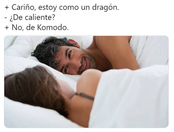 Otros - Un dragón en la cama