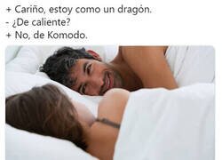 Enlace a Un dragón en la cama