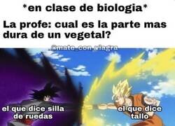 Enlace a Ambas pueden ser correctas