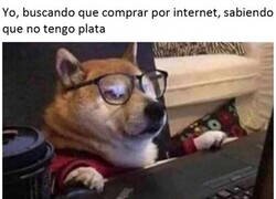 Enlace a Solo me hago falsas ilusiones