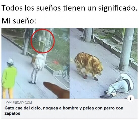 Meme_otros - Lo más normal del mundo...