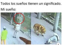 Enlace a Lo más normal del mundo...
