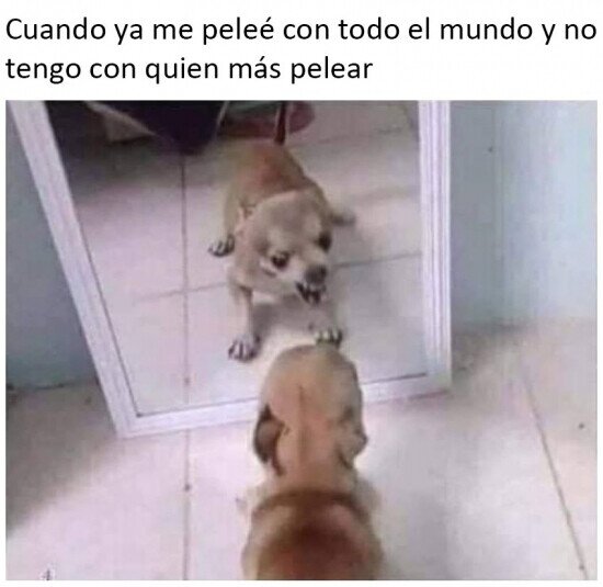 Meme_otros - Ahora me toca conmigo mismo