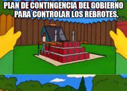 Enlace a Trabajando codo con codo...