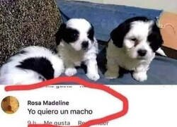 Enlace a Ahí no cumplirán sus deseos