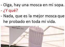 Enlace a Cero quejas todo delicioso