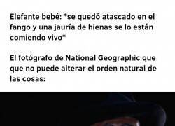 Enlace a Estoy sintiendo mucha lástima por ellos