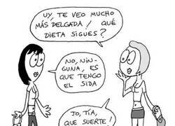 Enlace a Envidia de dieta
