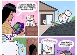 Enlace a Esos gatos traviesos
