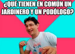 Enlace a Qué tienen en común un jardinero y un podólogo...