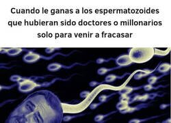 Enlace a Una carrera para fracasar