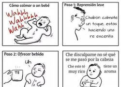 Enlace a Manual sencillo para calmar a un chiquillo