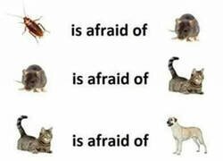 Enlace a Se cierra el círculo