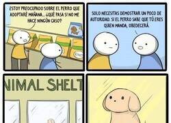 Enlace a Mostrando poder desde los inicios