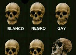 Enlace a La simple razón de porque son nesesario los 3 años de preescolar