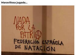 Enlace a Le dio la vuelta a la tortilla