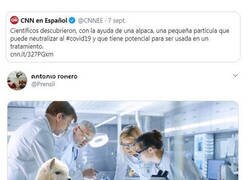 Enlace a La alpaca fue clave