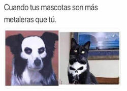 Enlace a Las mascotas del mismísimo diablo