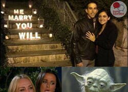 Enlace a El maestro Yoda le ayudó a montar la declaración