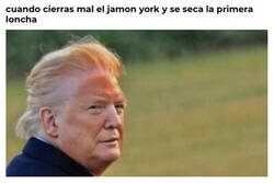 Enlace a Vaya, que pena...