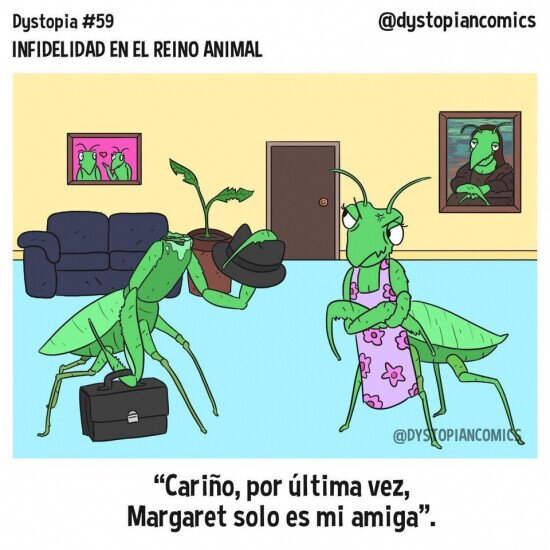 Meme_otros - La infidelidad de las mantis es muy difícil de ocultar
