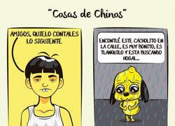 Enlace a Cosas de chinos