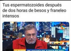 Enlace a ¿Aquí cuando se sale?