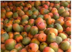 Enlace a Hay un impostor entre nosotros