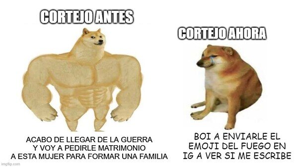 Meme_otros - Ya no se corteja como antes