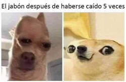 Enlace a Totalmente deformado