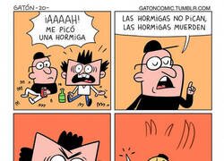 Enlace a Las hormigas son mala gente...