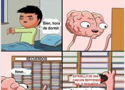 Enlace a ¿Por qué mi cerebro es así?