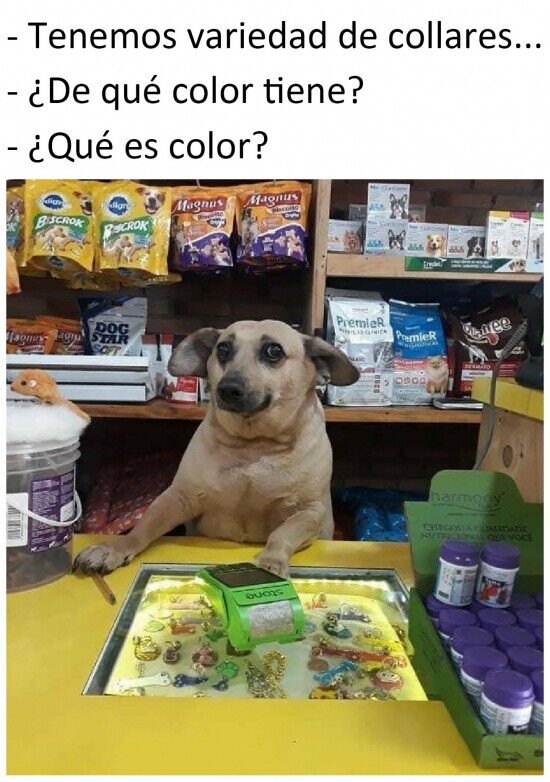 Meme_otros - Si los perros vendiesen souvenirs