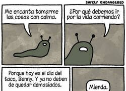 Enlace a ¿Por qué no soy más rápido?