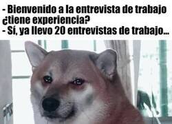 Enlace a Entrevista de trabajo