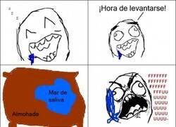 Enlace a Babas nocturnas