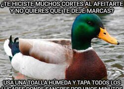 Enlace a A mi me vino muy bien