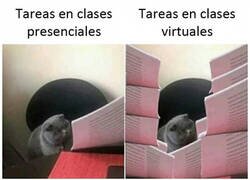 Enlace a No hay que moverse, pero se multiplica el trabajo