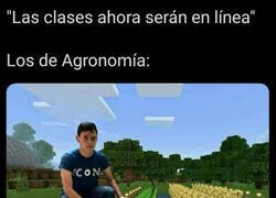 Enlace a ¿Cómo estarán plantando?