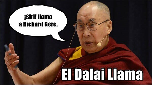 Dalai Llama,llamar,teléfono,tontería