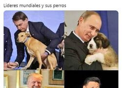 Enlace a Adivina en qué cultura comen animales raros